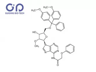 5'-DMT-2'-(O-methyl)-adenosine(N-PAC),CAS No.128219-81-8