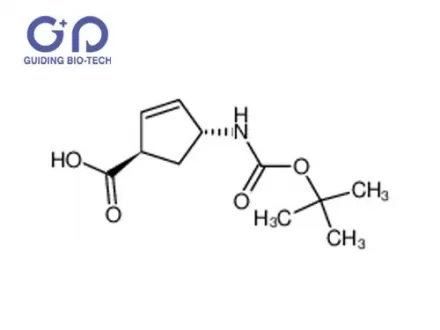 (1R,4R)-4-(tert-butoxycarbonylamino)cyclopent-2-enecarboxylic acid,CAS No.298716-03-7