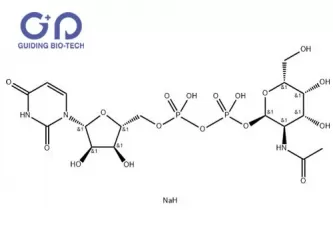 UDP-N-acetyl-galactosamine,CAS No.108320-87-2